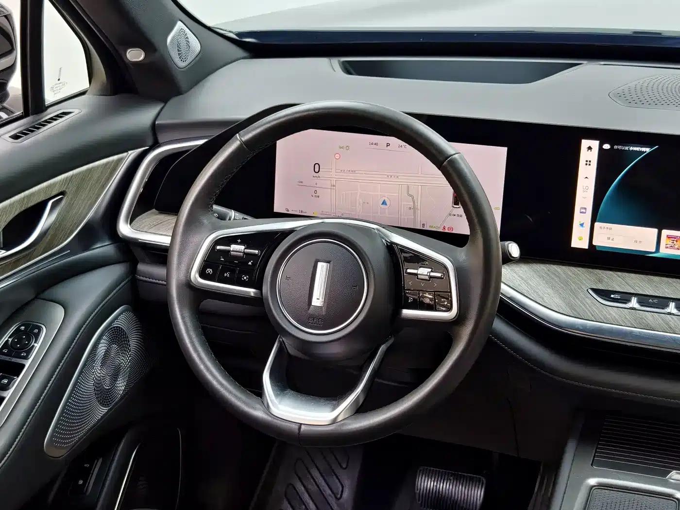 Weipai Lanshan 2023 Two-Wheel Drive Long Range Edition — миниатюра 14