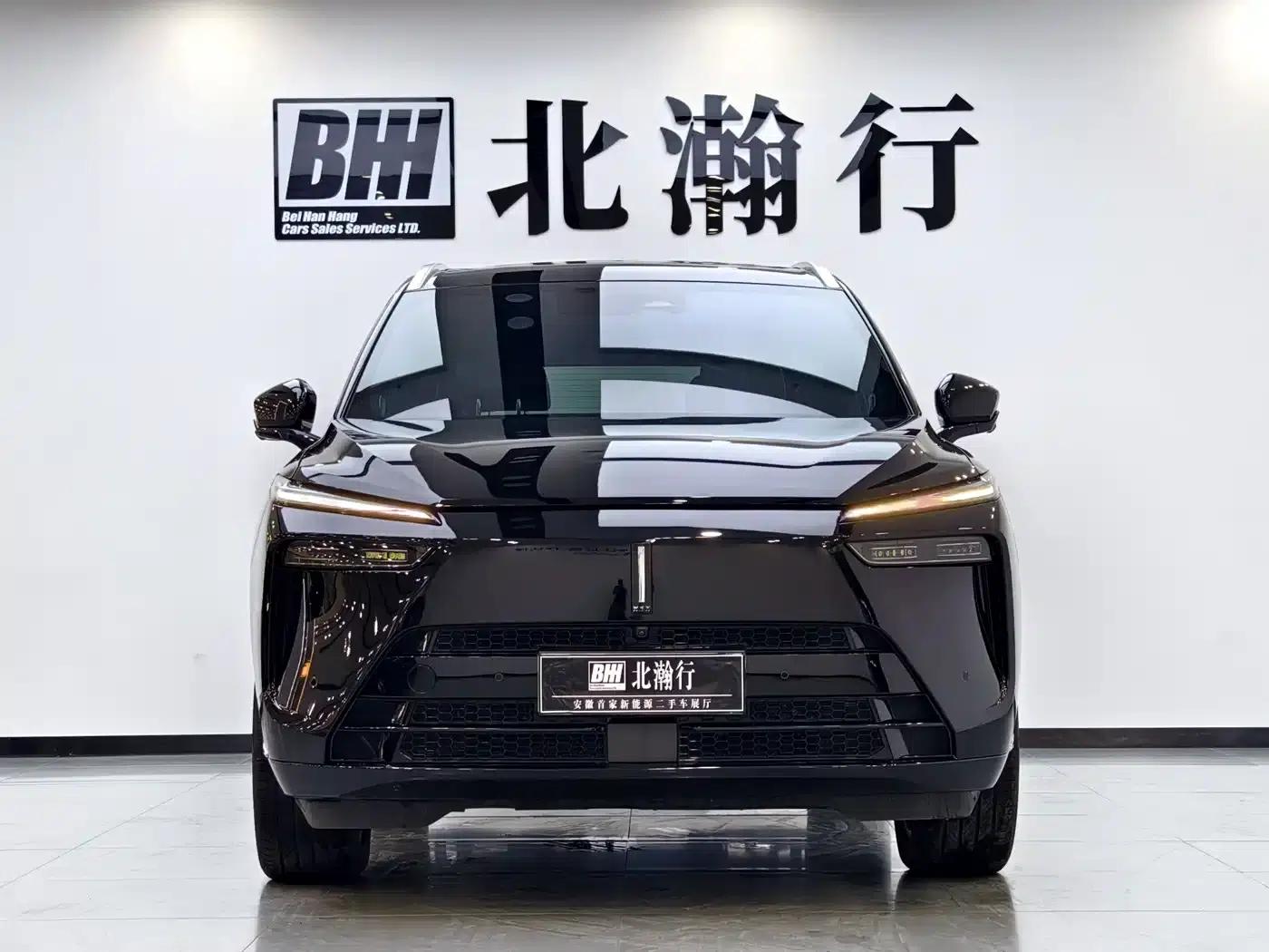 Weipai Lanshan 2023 Two-Wheel Drive Long Range Edition — миниатюра 3