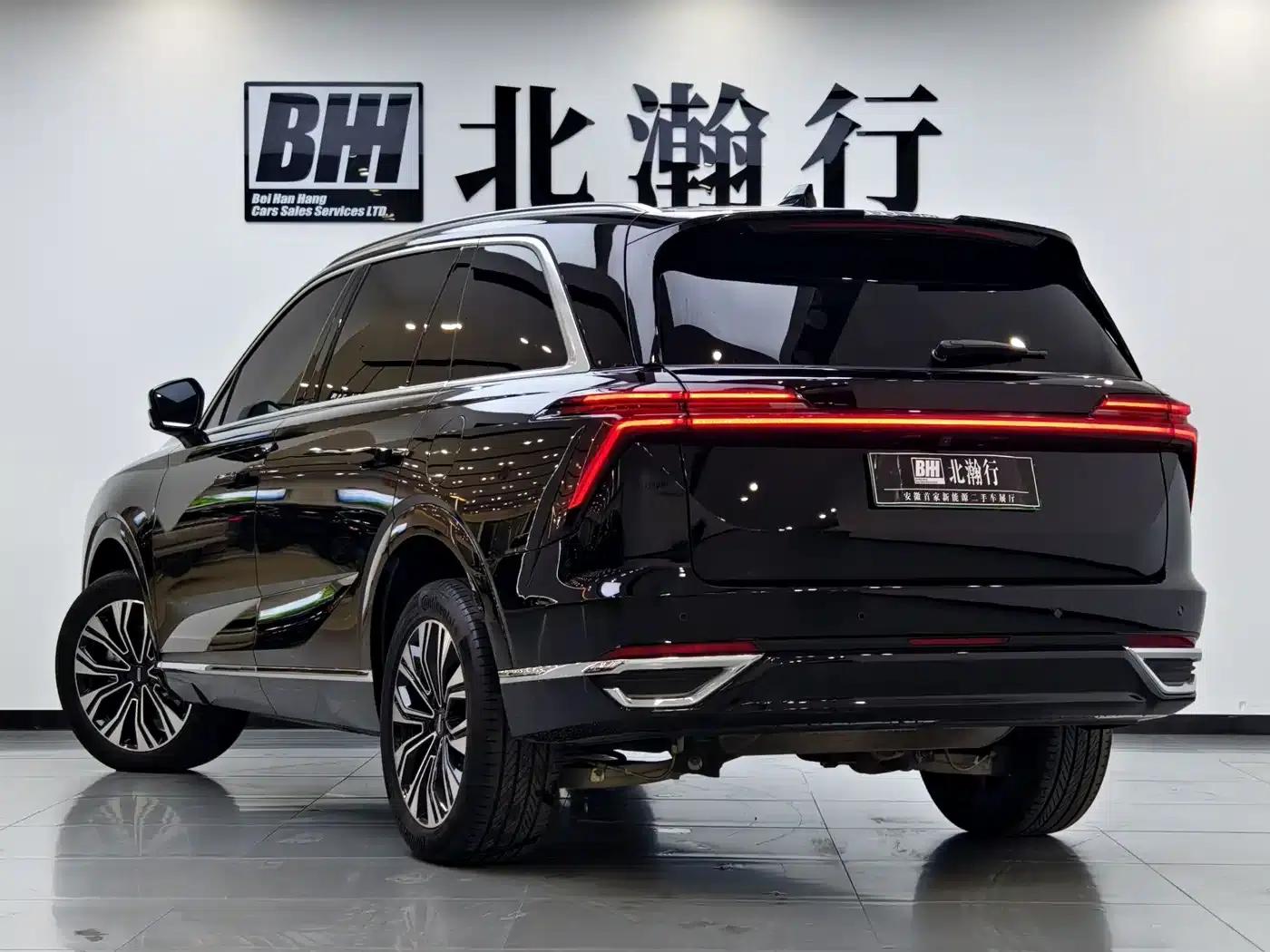 Weipai Lanshan 2023 Two-Wheel Drive Long Range Edition — миниатюра 4