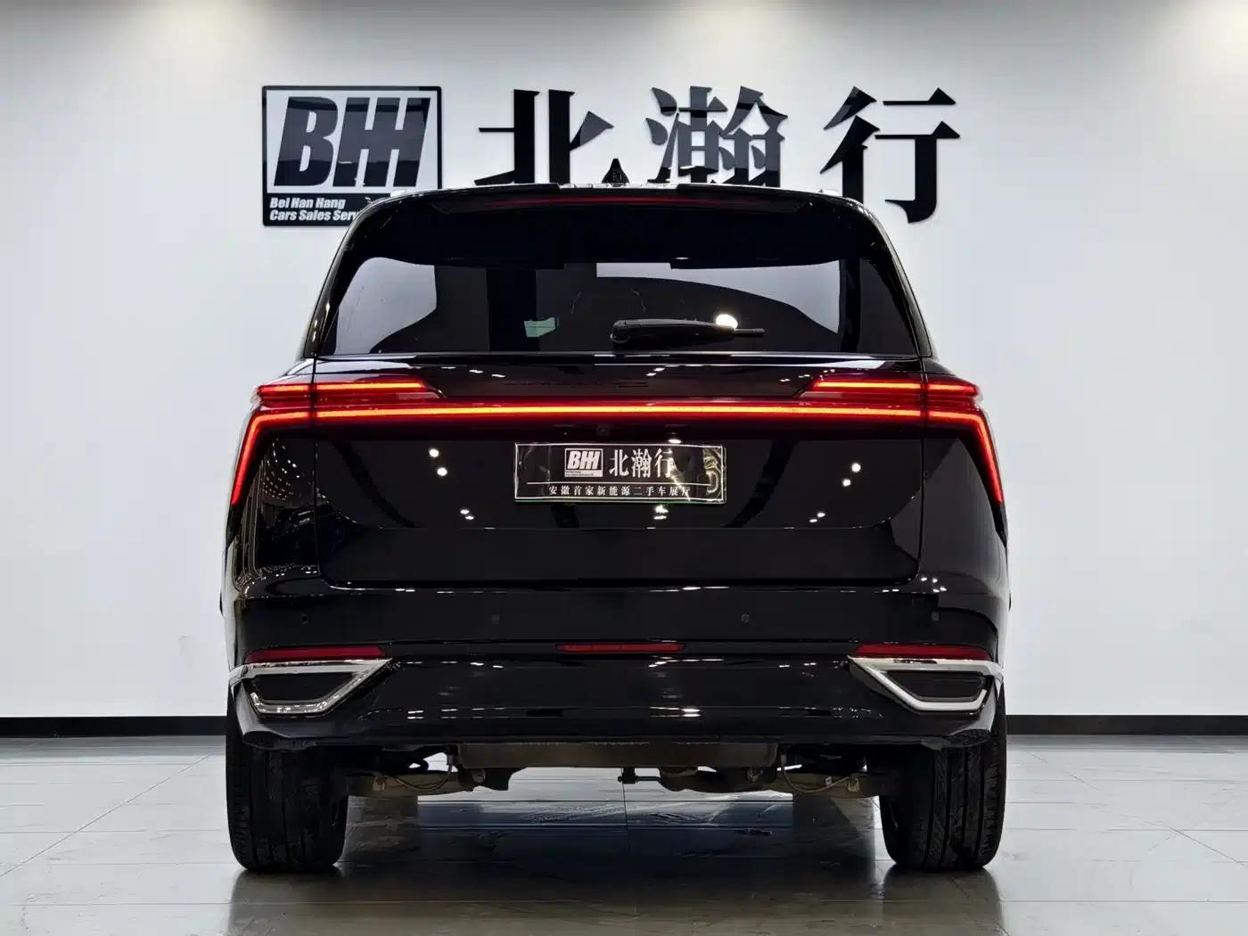 Weipai Lanshan 2023 Two-Wheel Drive Long Range Edition — миниатюра 6