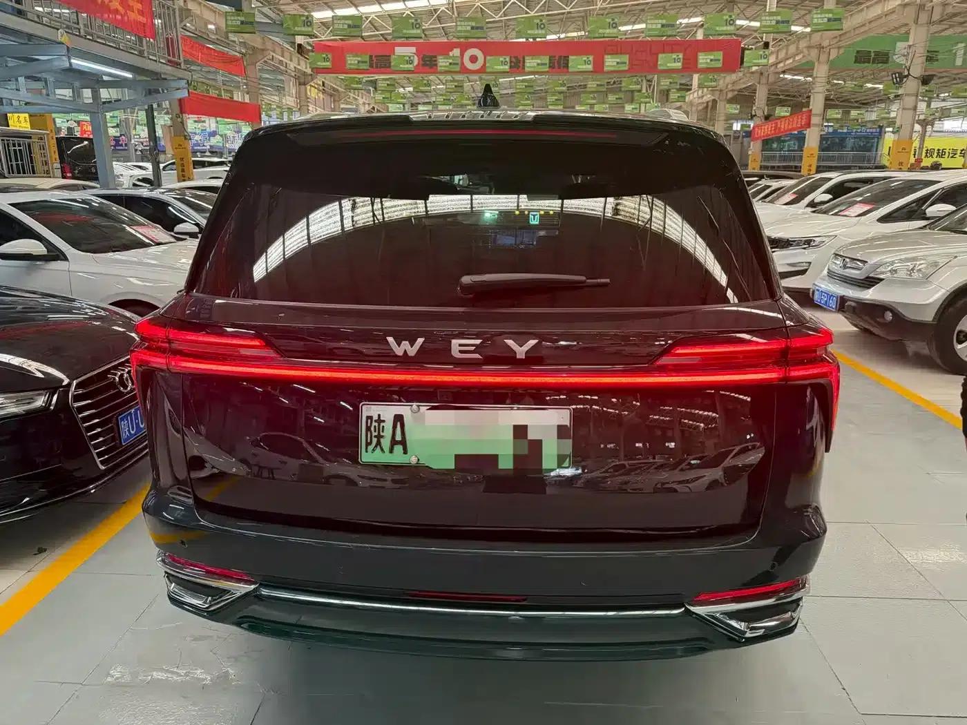 Weipai Lanshan 2023 Four-Wheel Drive Extended Range Edition — миниатюра 8