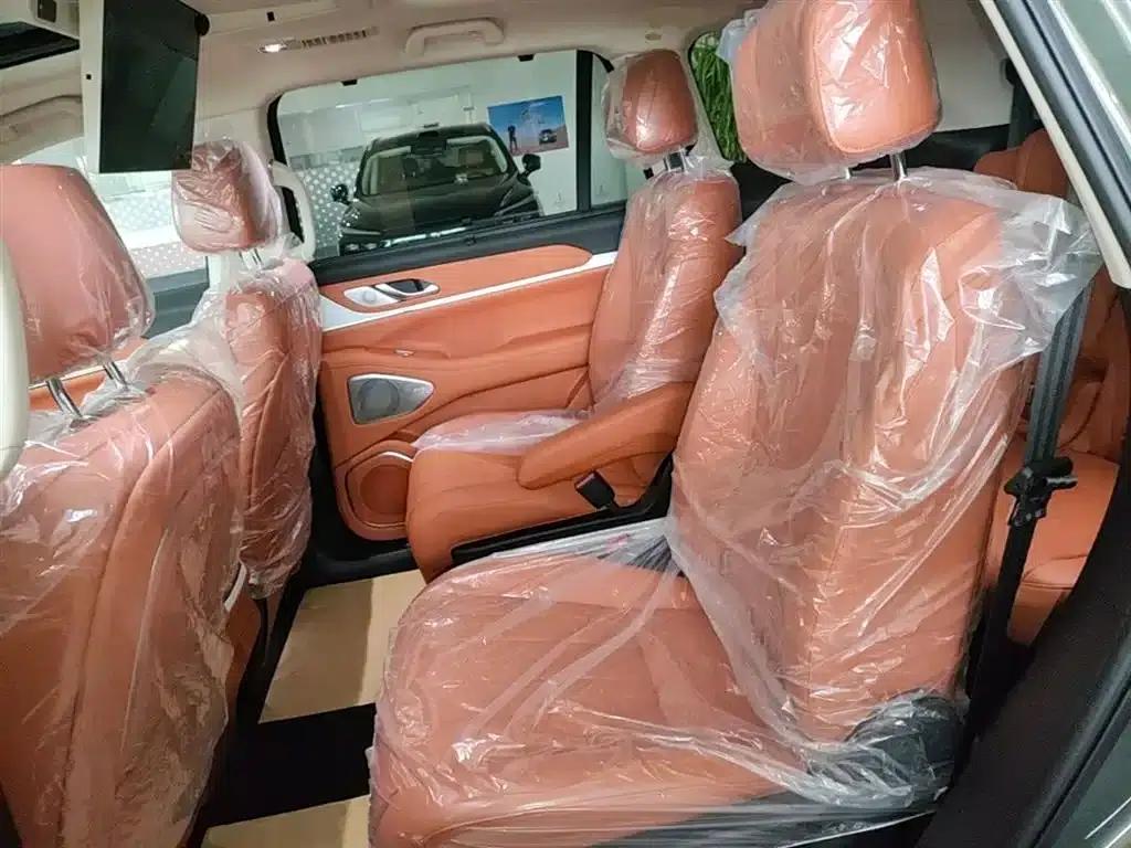 Weipai Blue Mountain 2025 4WD Max — миниатюра 17