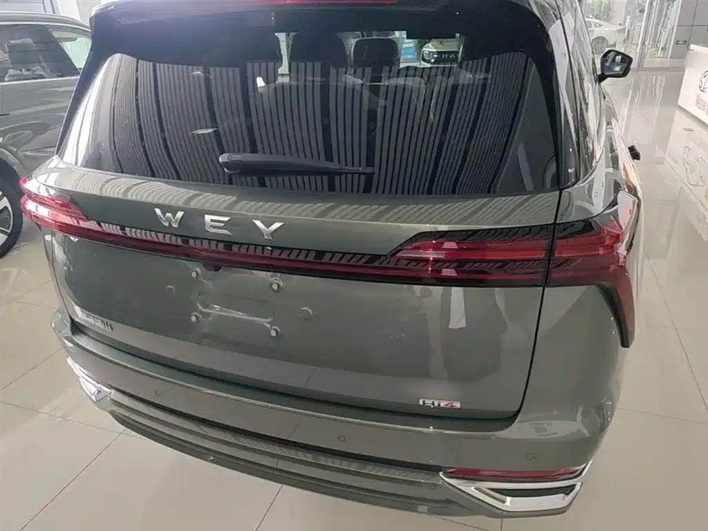 Weipai Blue Mountain 2025 4WD Max — миниатюра 6
