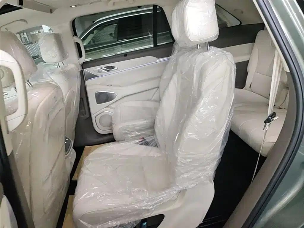 Weipai Blue Mountain 2025 4WD Max — миниатюра 17