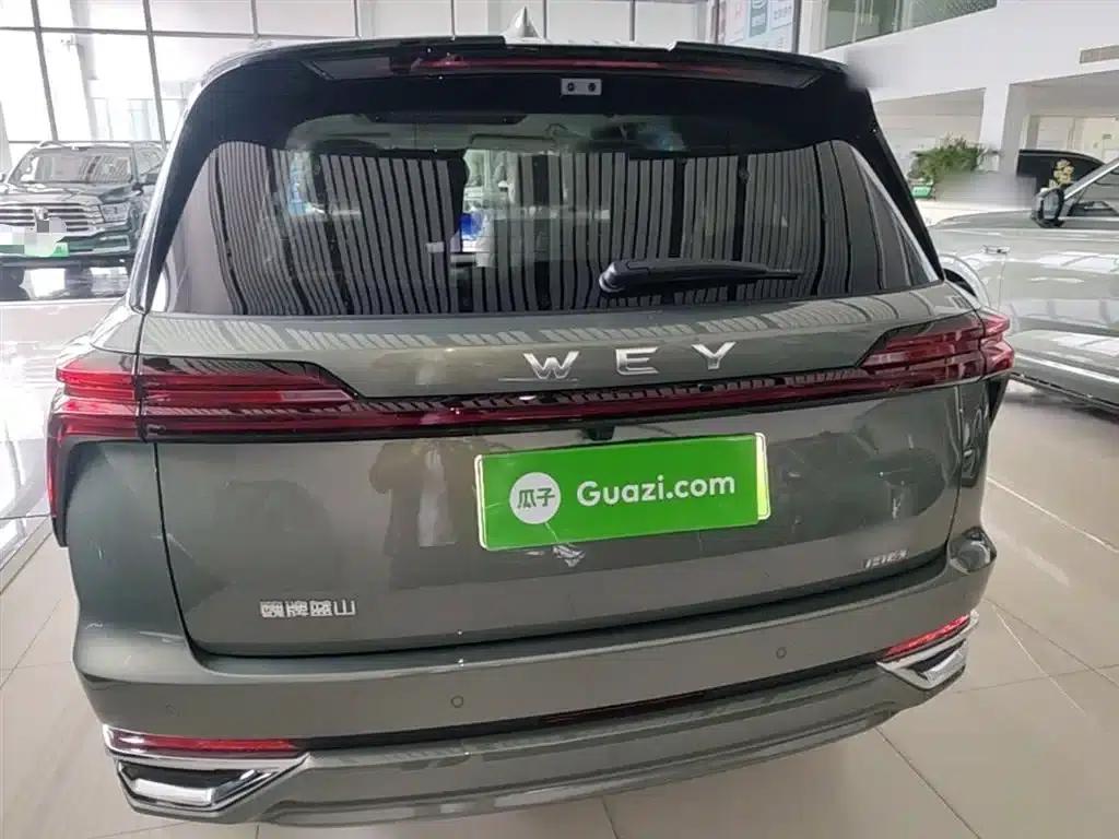 Weipai Blue Mountain 2025 4WD Max — миниатюра 6