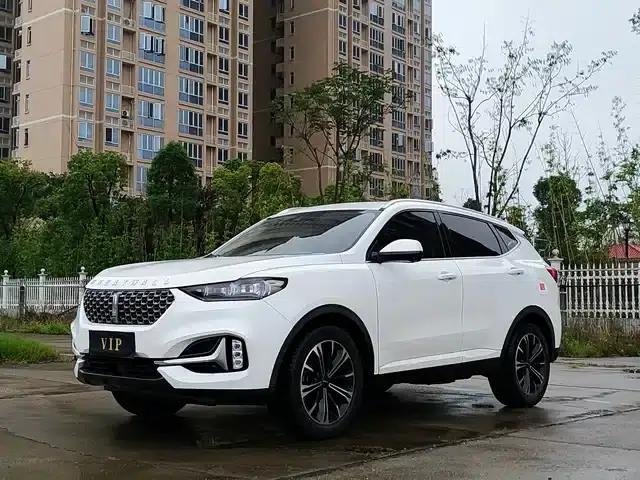 Weipai VV6 2021 2.0T 2WD Smart Protection+