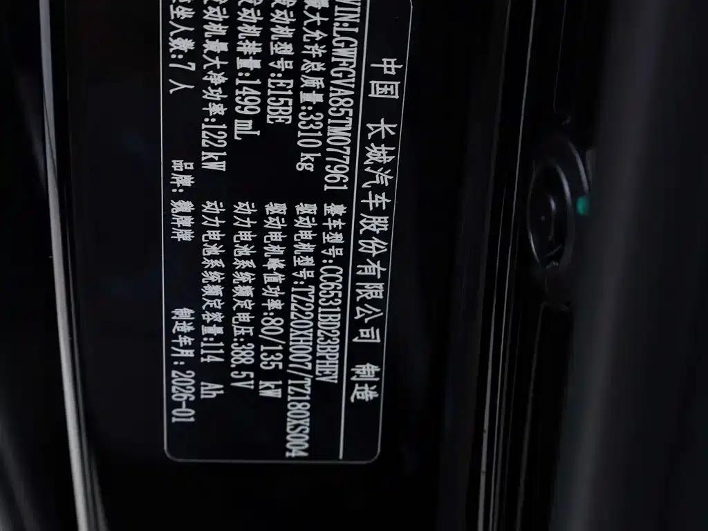 Weipai Gaoshan 2025 Model 4WD Gaoshan 8 — миниатюра 24