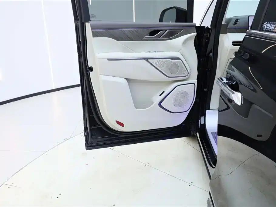 Weipai Gaoshan 2025 Model 4WD Gaoshan 8 — миниатюра 30