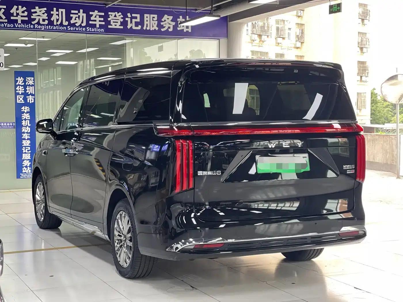 Weipai Gaoshan 2025 Model 4WD Gaoshan 8 — миниатюра 18