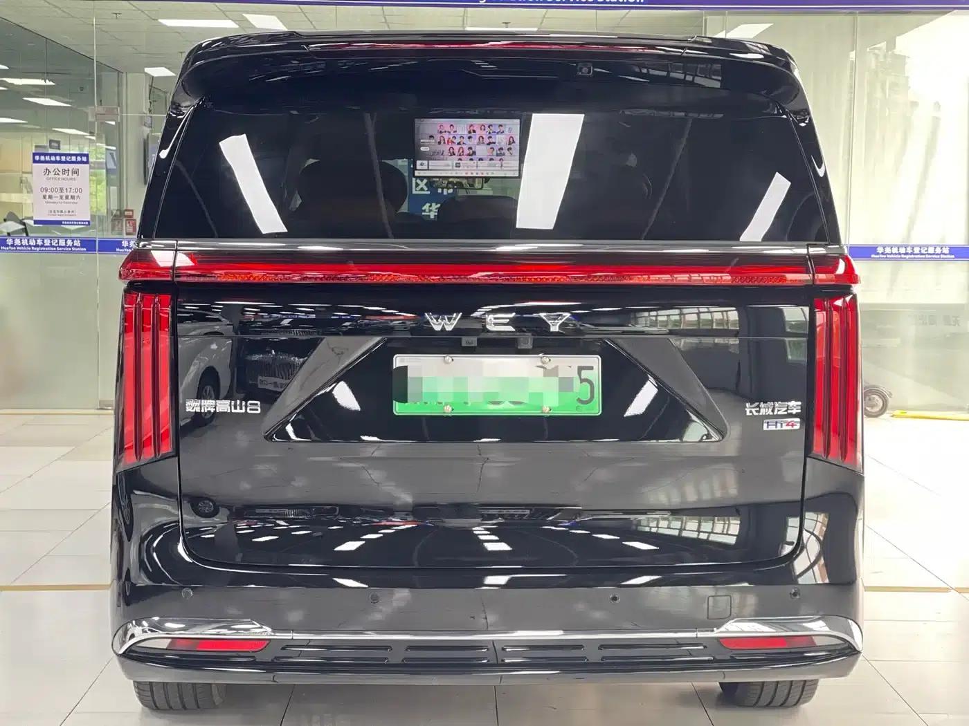 Weipai Gaoshan 2025 Model 4WD Gaoshan 8 — миниатюра 19