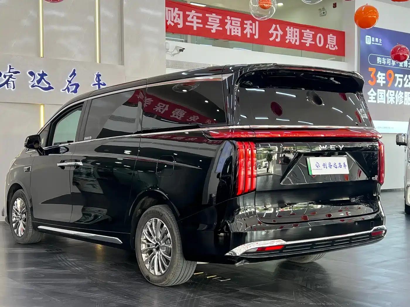 Weipai Gaoshan 2025 Model 4WD Gaoshan 8 — миниатюра 13