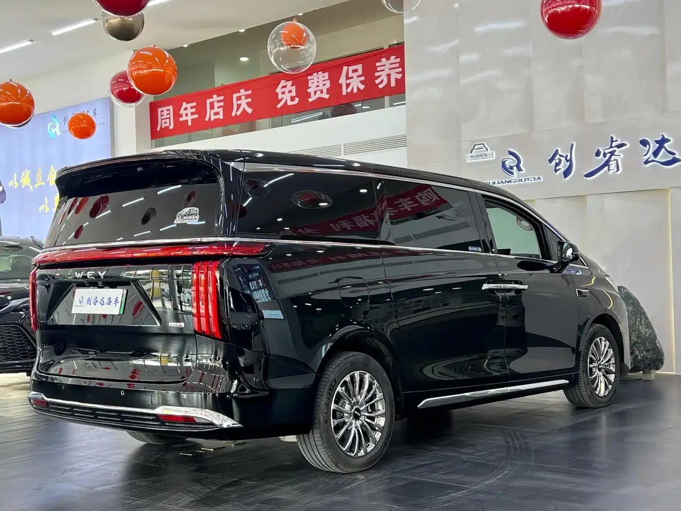 Weipai Gaoshan 2025 Model 4WD Gaoshan 8 — миниатюра 15