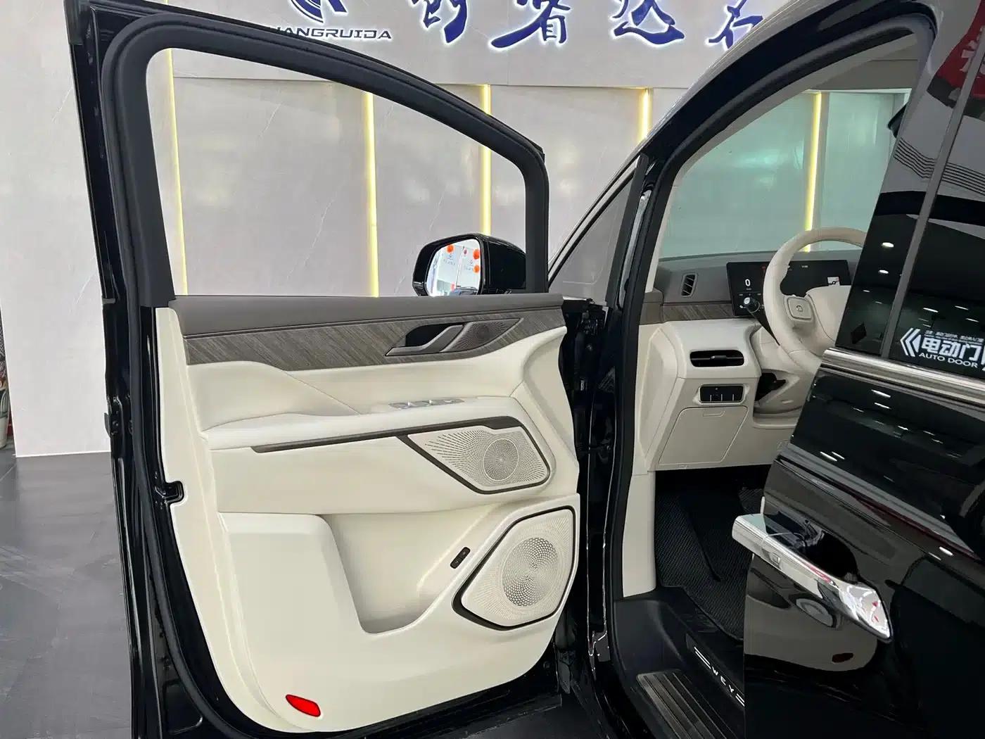 Weipai Gaoshan 2025 Model 4WD Gaoshan 8 — миниатюра 17