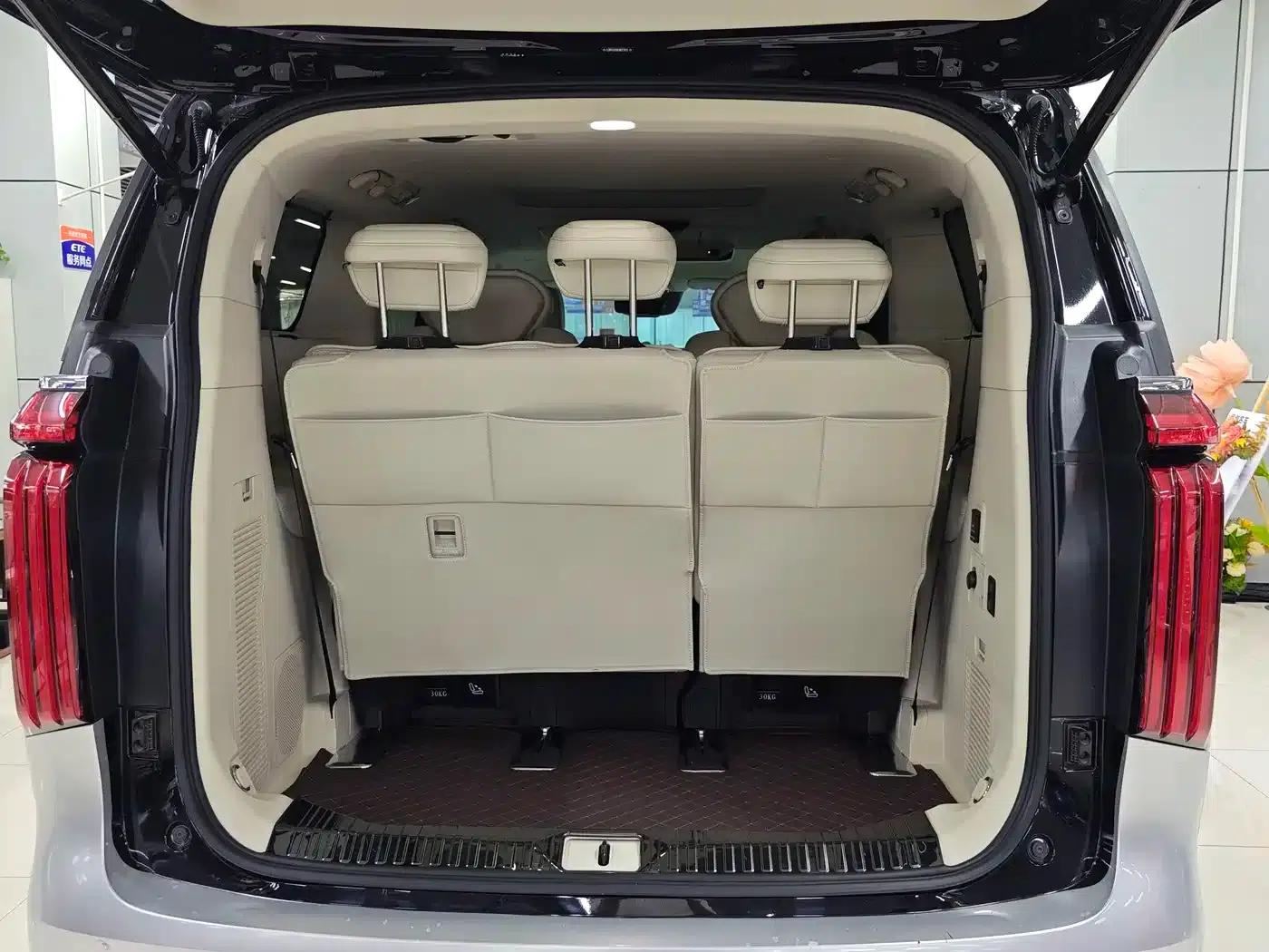 Weipai Gaoshan 2025 Model 4WD Gaoshan 8 — миниатюра 18