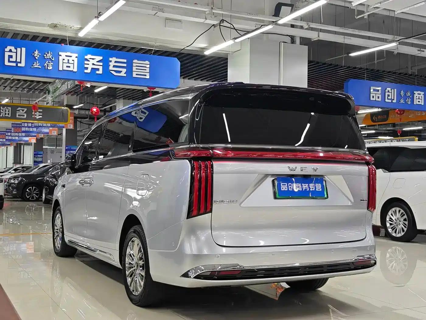 Weipai Gaoshan 2025 Model 4WD Gaoshan 8 — миниатюра 7
