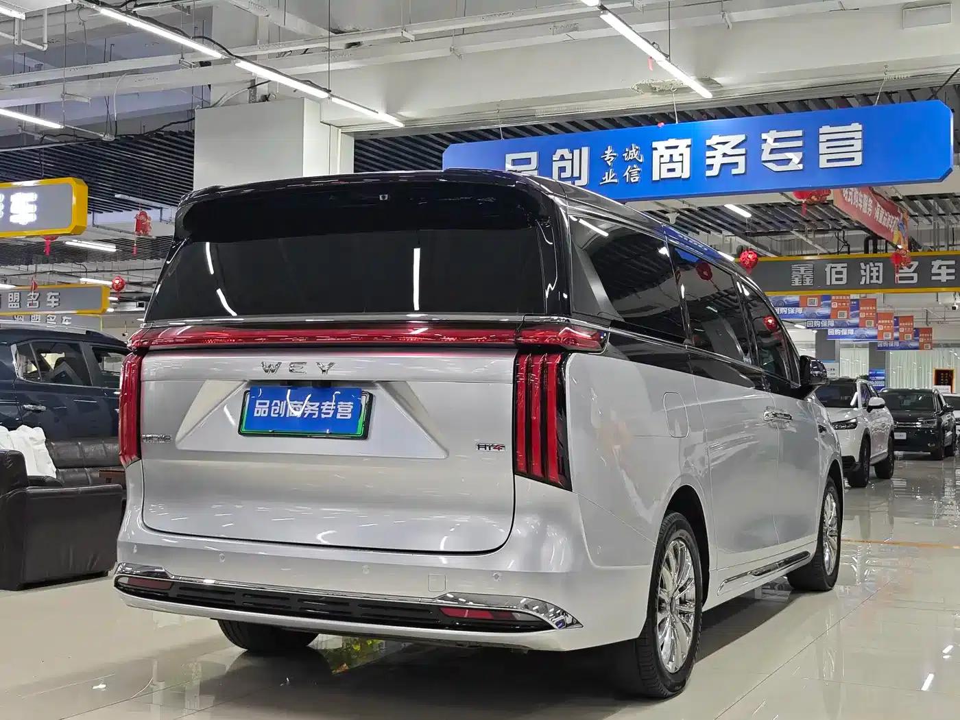Weipai Gaoshan 2025 Model 4WD Gaoshan 8 — миниатюра 9