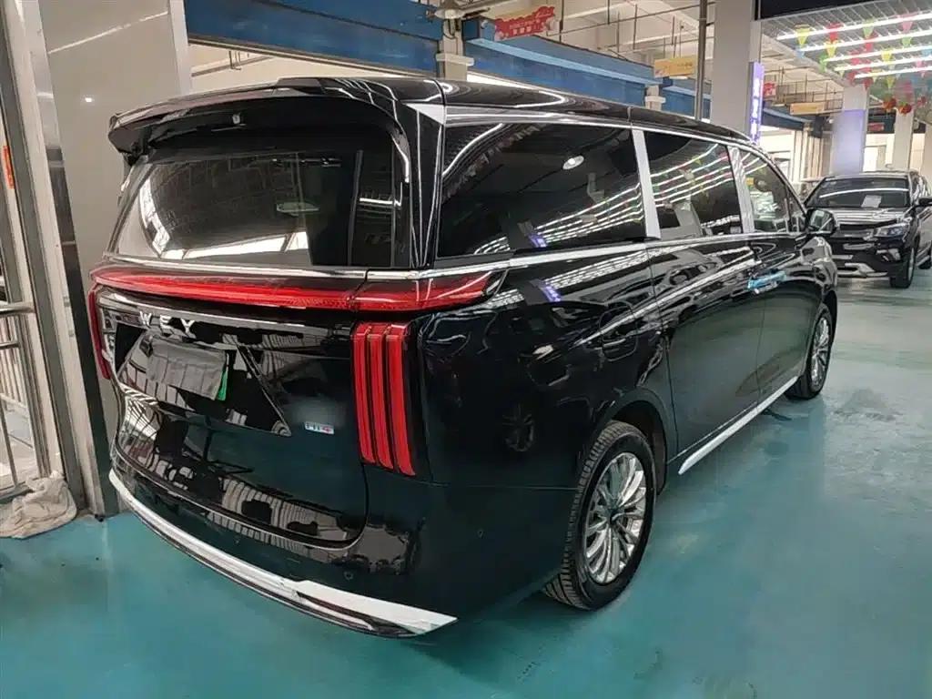 Weipai Gaoshan 2025 Model 4WD Gaoshan 8 — миниатюра 7