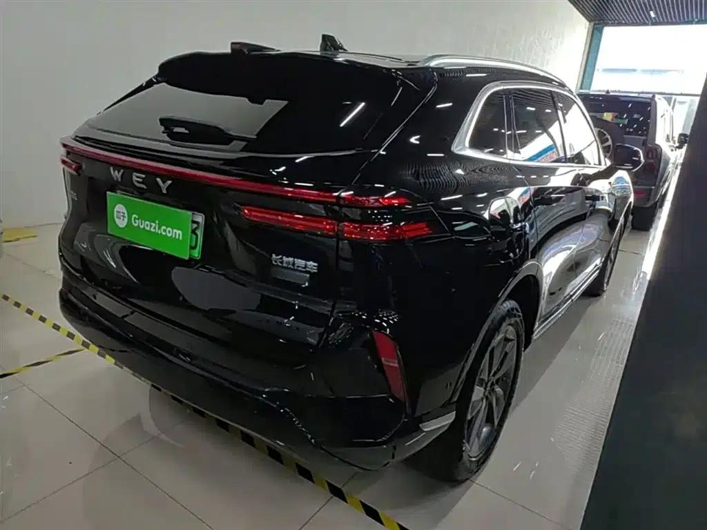 Weipai Mocha New Energy 2023 Two-Wheel Drive Long Range Version — миниатюра 7