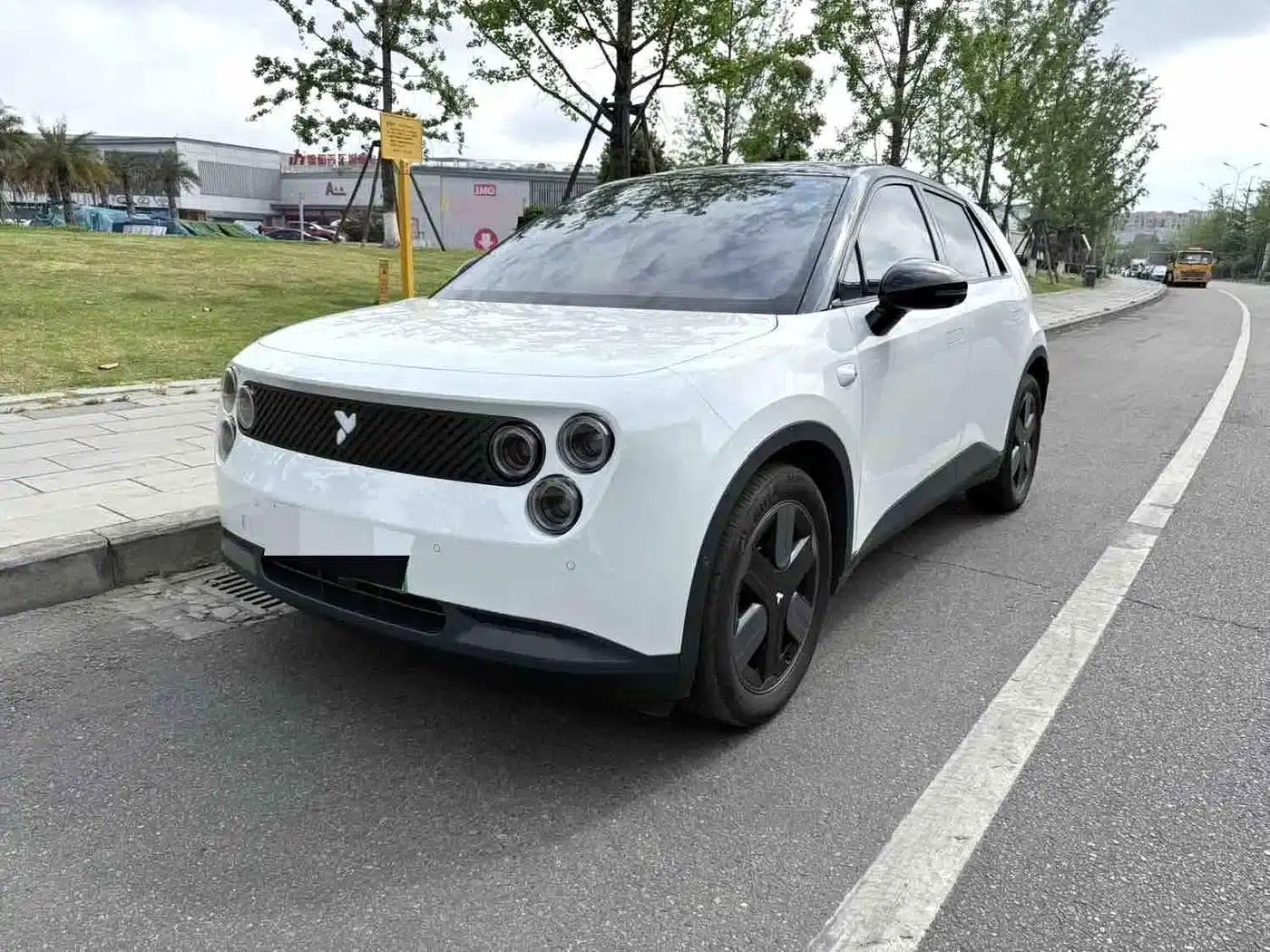 Firefly 2025 Model - Comfort Edition — миниатюра 1
