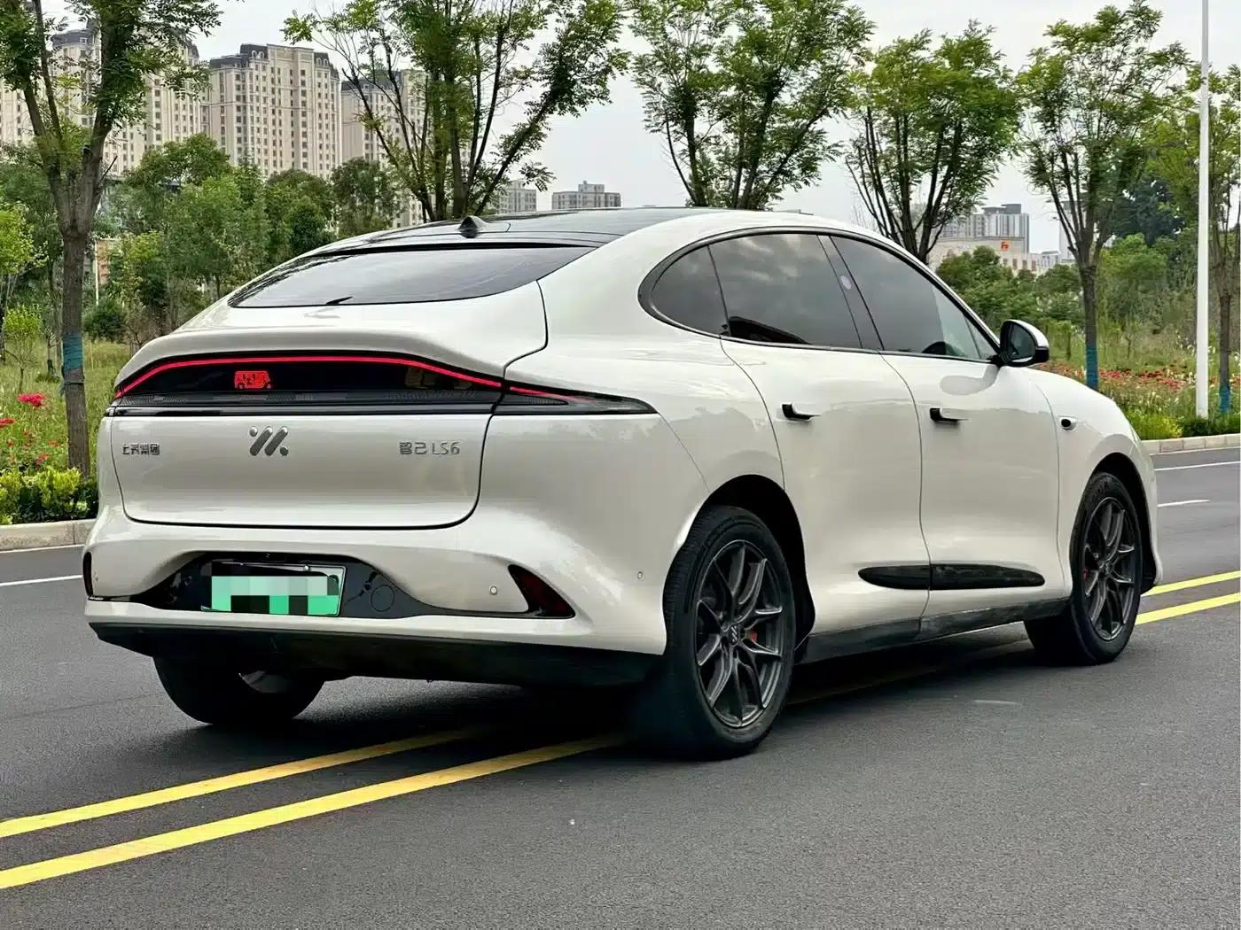 Smart Home LS6 2025 Model: High-Performance Lizard Smart Edition — миниатюра 9