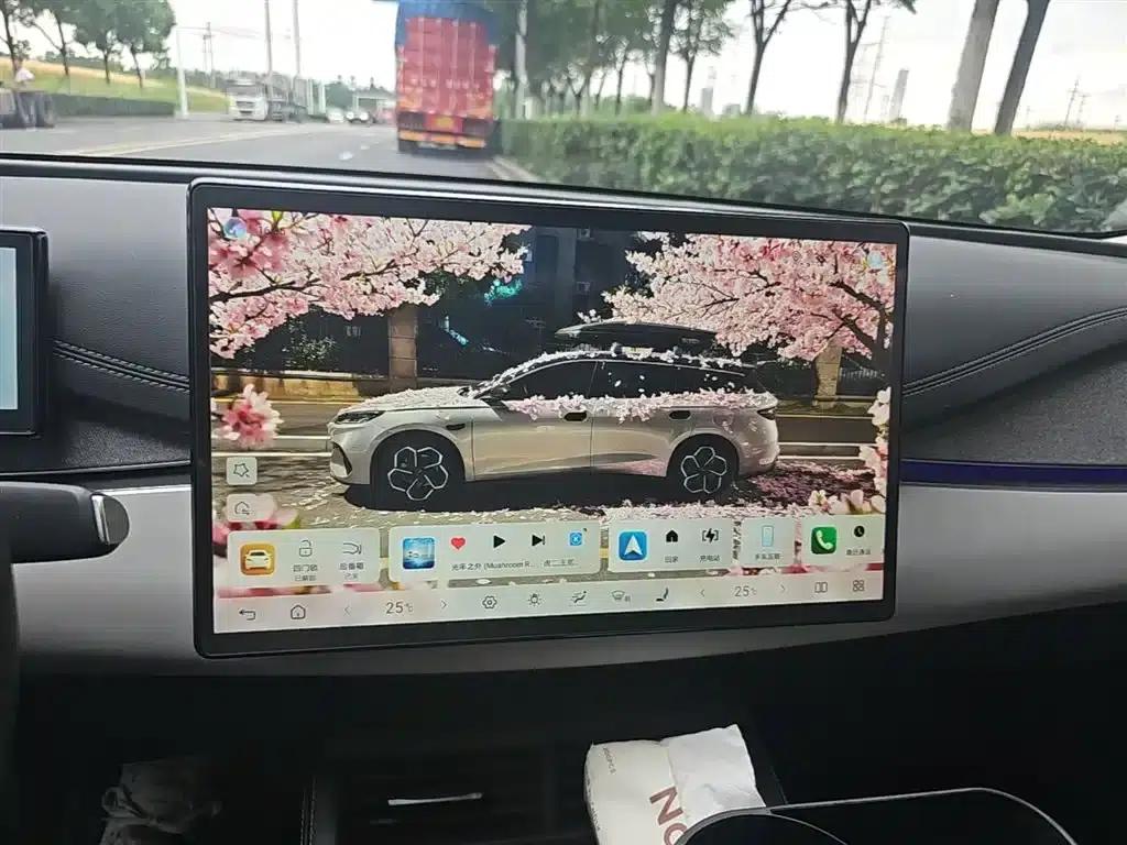 Seal 06 DM-i Touring Edition 2025 DM-i 150KM Flagship Model — миниатюра 13