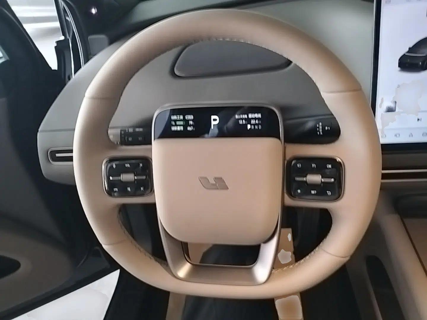 Used Li Auto i6 2025 Model Two-Wheel-Drive Standard Type — миниатюра 18