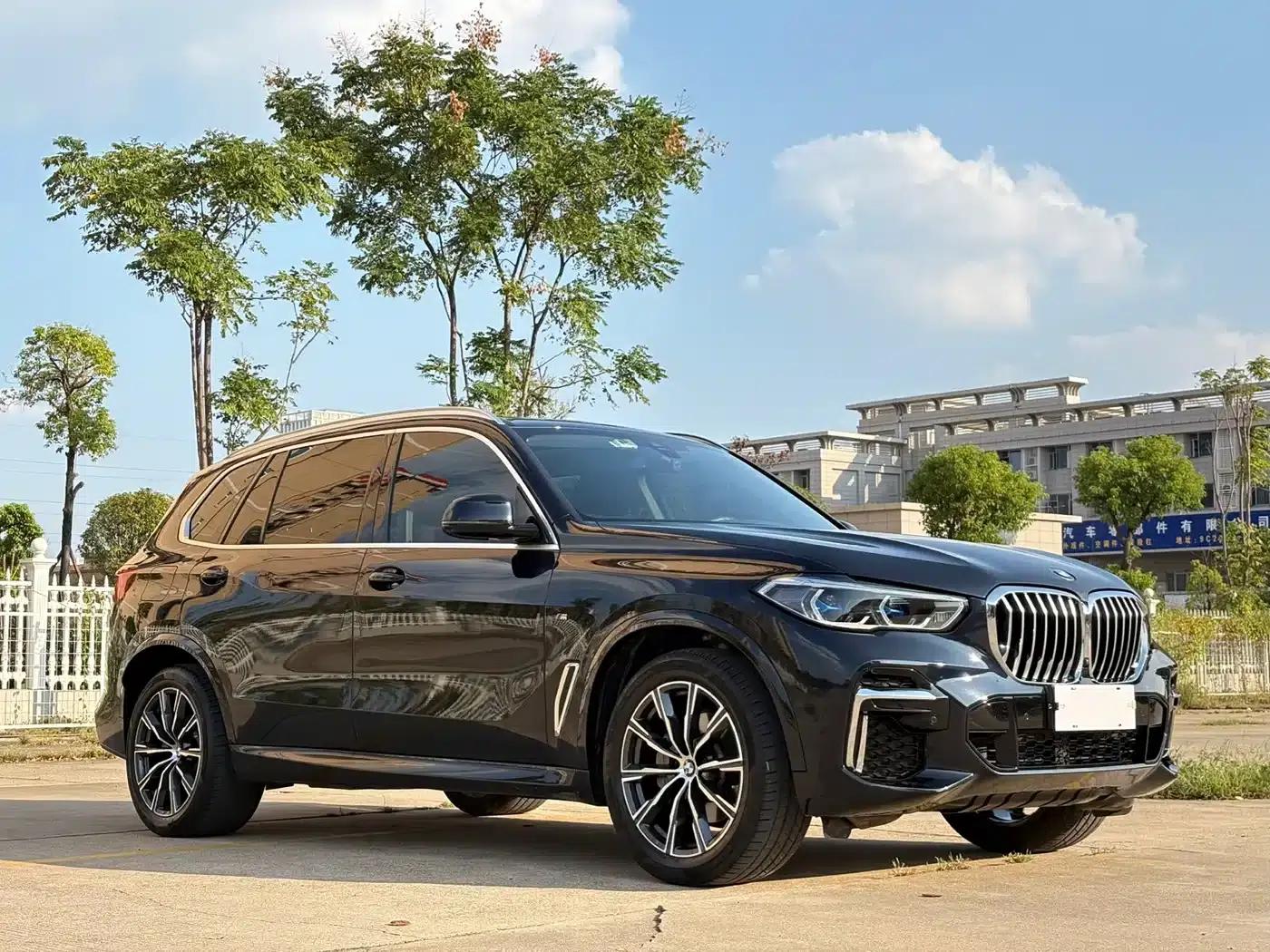 BMW X5 2022 xDrive 30Li Luxury M Sport Package — миниатюра 3