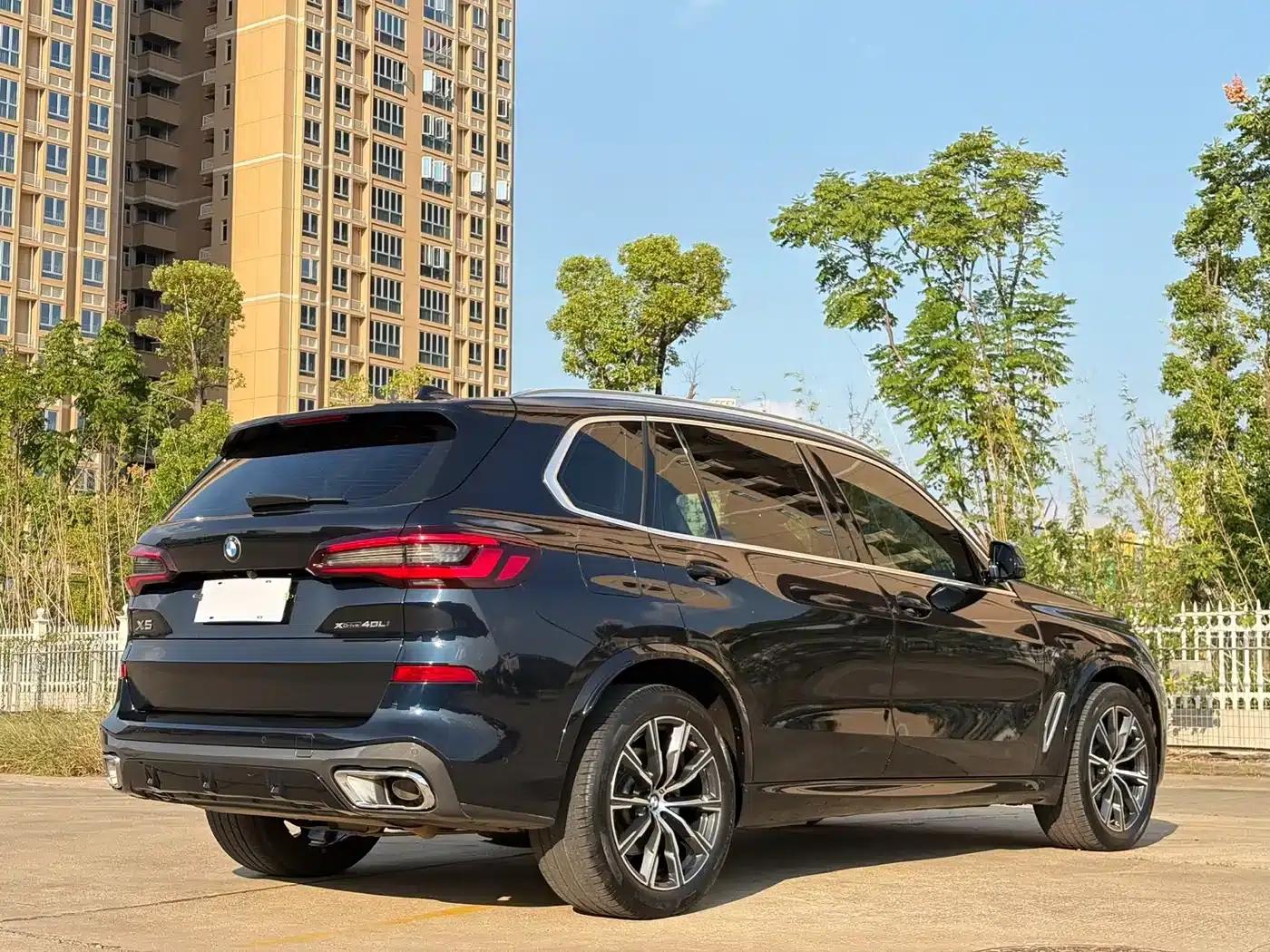 BMW X5 2022 xDrive 30Li Luxury M Sport Package — миниатюра 9