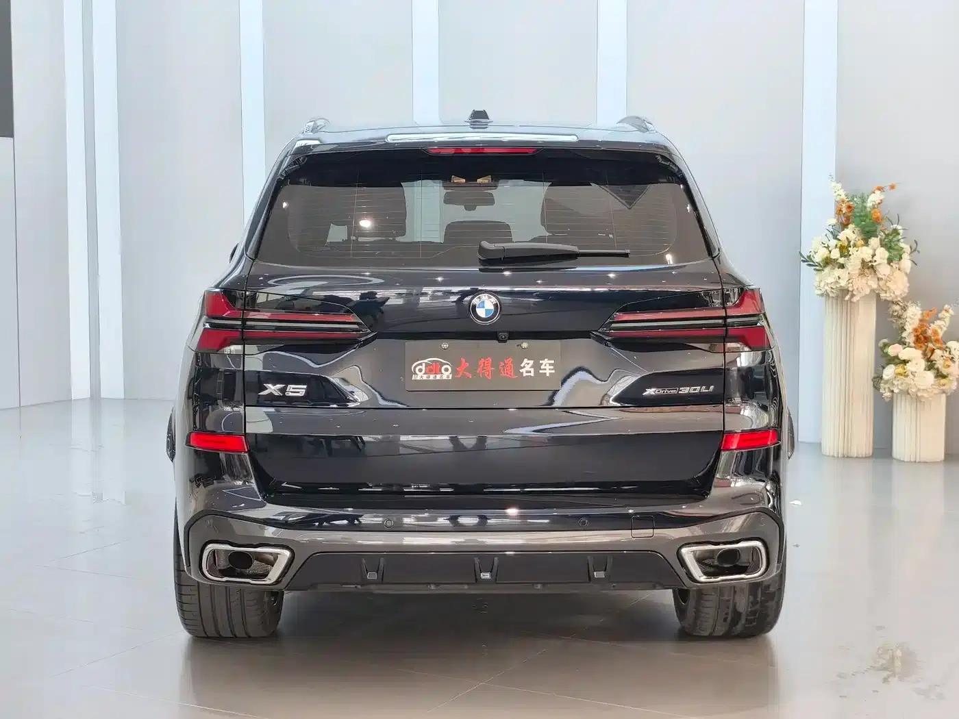 BMW X5 2023 xDrive 30Li M Sport Shadow Edition — миниатюра 4