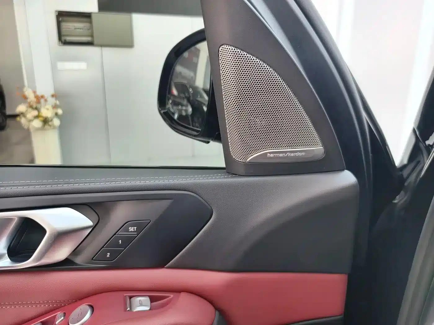 BMW X5 2023 xDrive 30Li M Sport Shadow Edition — миниатюра 10