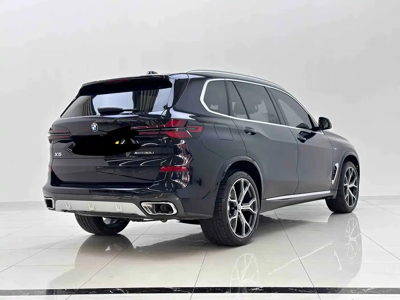 BMW X5 2023 xDrive 30Li Luxury M Sport Package — миниатюра 3
