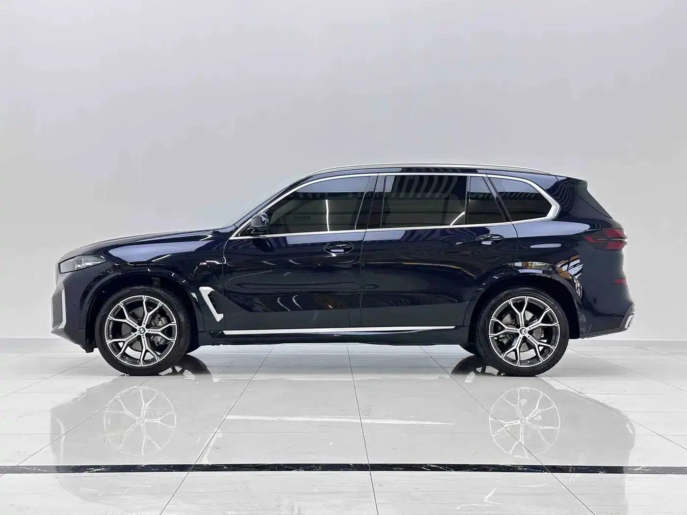 BMW X5 2023 xDrive 30Li Luxury M Sport Package — миниатюра 9