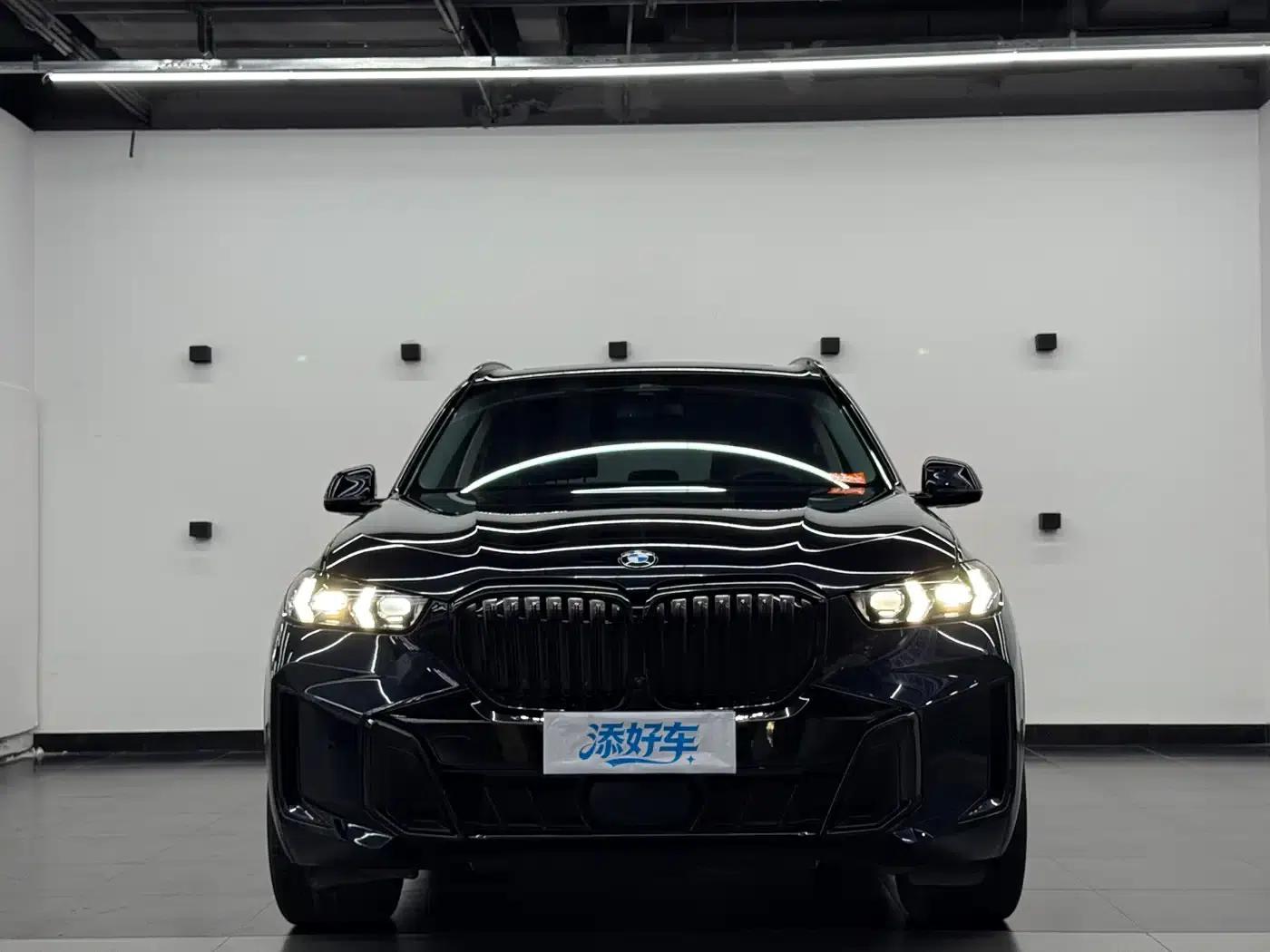 BMW X5 2023 xDrive 30Li M Sport Shadow Edition — миниатюра 2