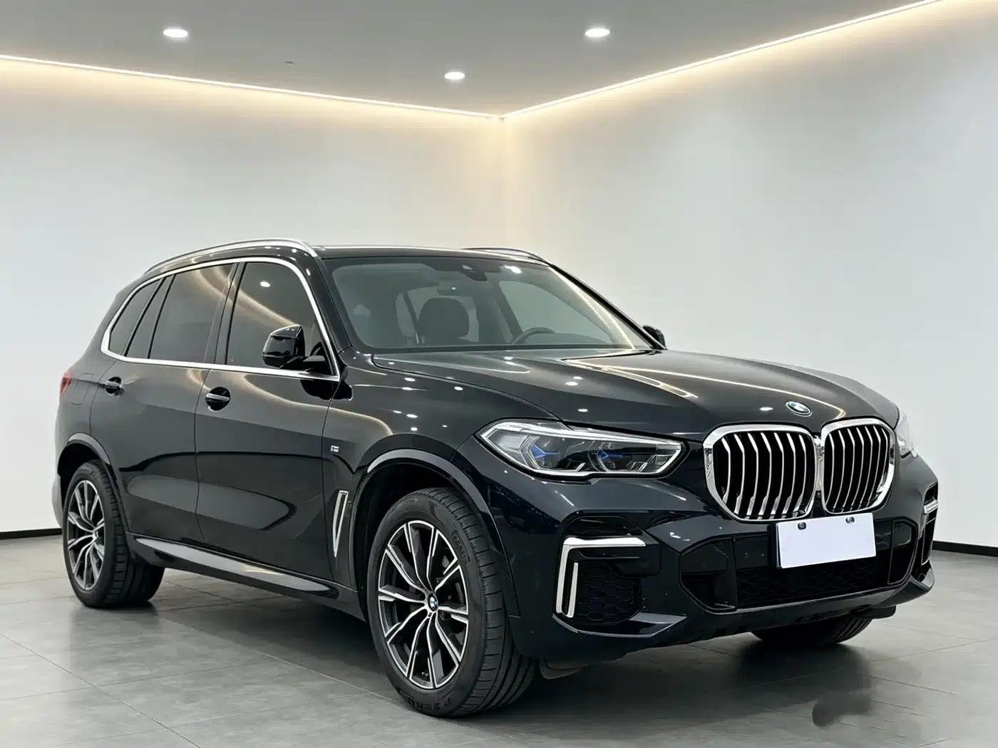 BMW X5 2022 xDrive 30Li Luxury M Sport Package — миниатюра 2