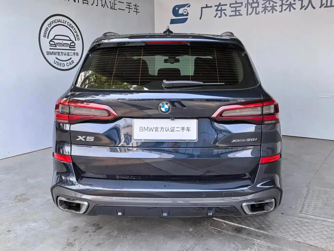 2021 BMW X5 xDrive30i M Sport Package (Imported) — миниатюра 6