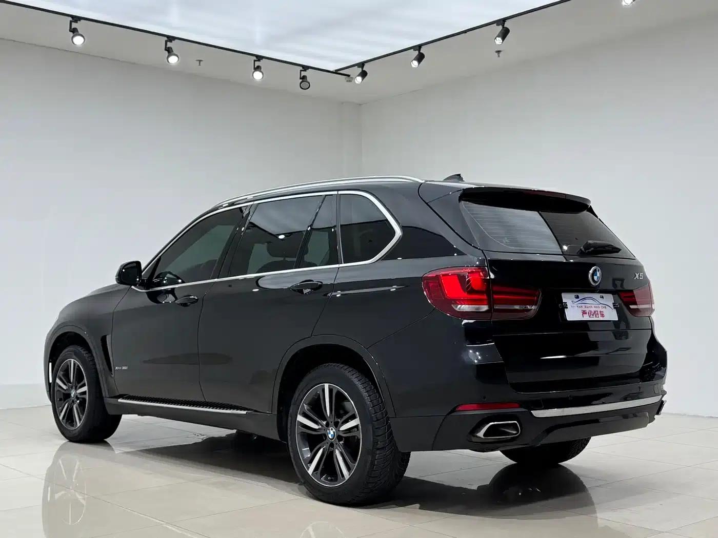 2018 BMW X5 xDrive35i Elegant (Imported) — миниатюра 4