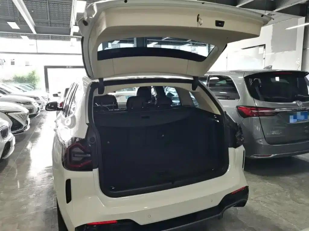 BMW iX3 2022 Facelift Leading Edition — миниатюра 19