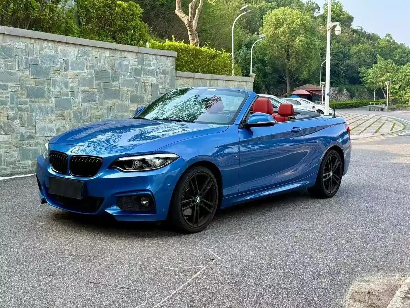 2019 BMW 2 Series Imported 225i Convertible Coupe, M Sport Package — миниатюра 1