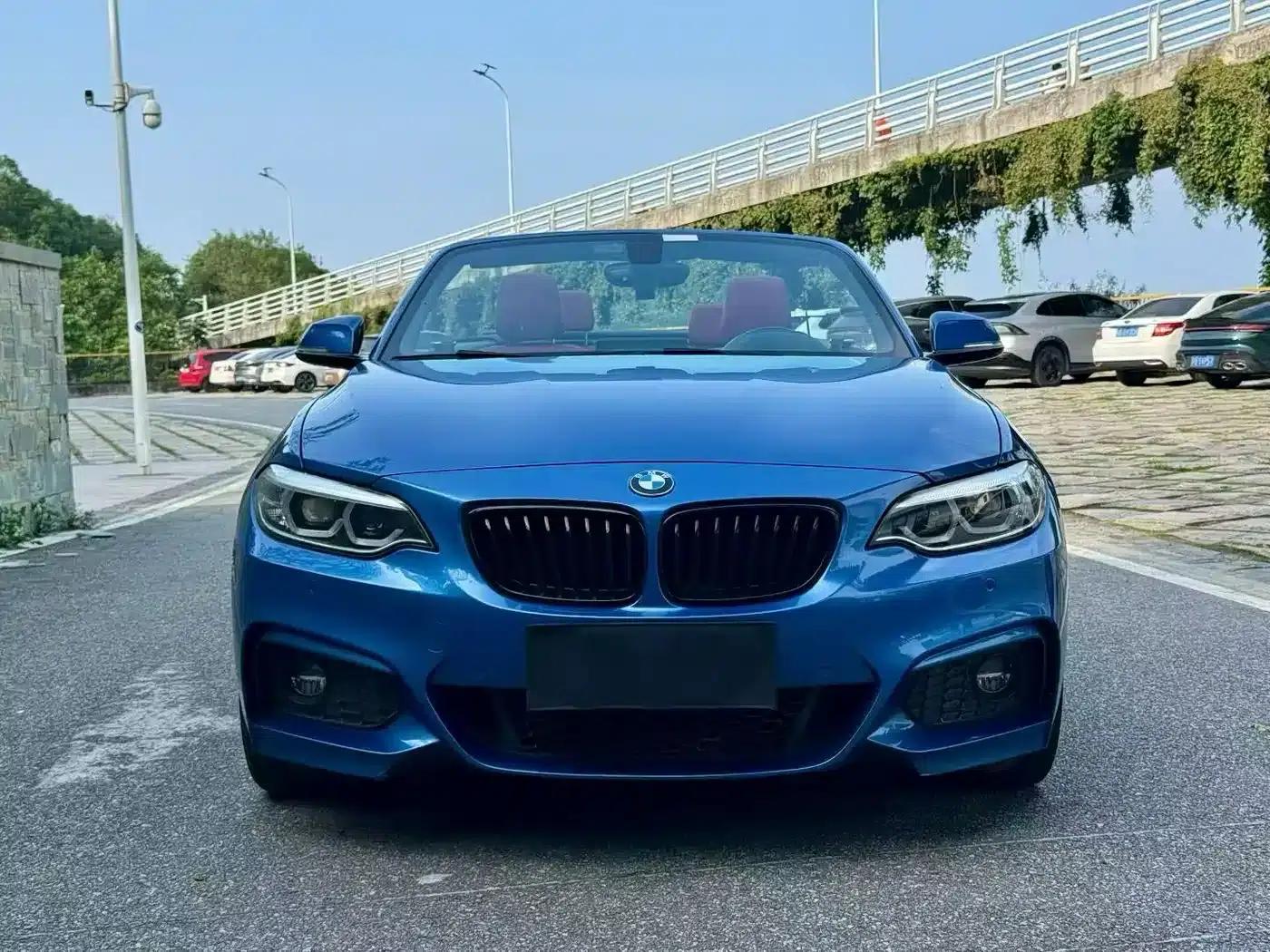 2019 BMW 2 Series Imported 225i Convertible Coupe, M Sport Package — миниатюра 2