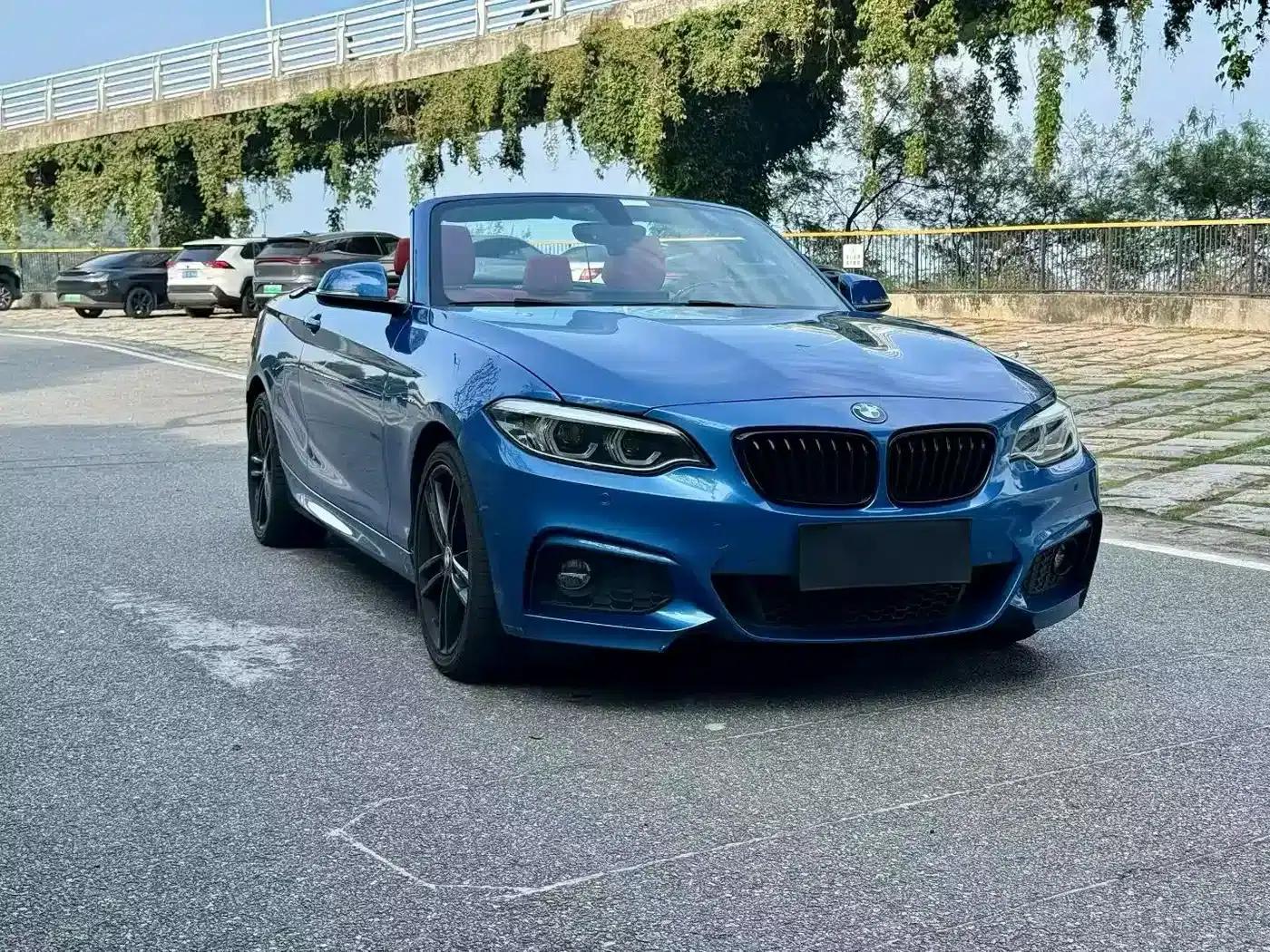 2019 BMW 2 Series Imported 225i Convertible Coupe, M Sport Package — миниатюра 3