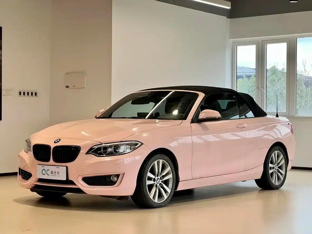 BMW 2 Series (Imported) 2015 220i Convertible Coupe Leading Model — миниатюра 1