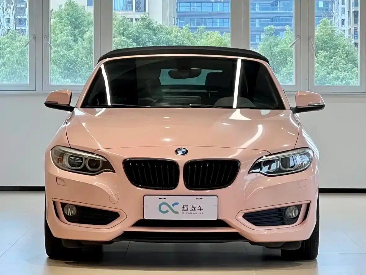 BMW 2 Series (Imported) 2015 220i Convertible Coupe Leading Model — миниатюра 2