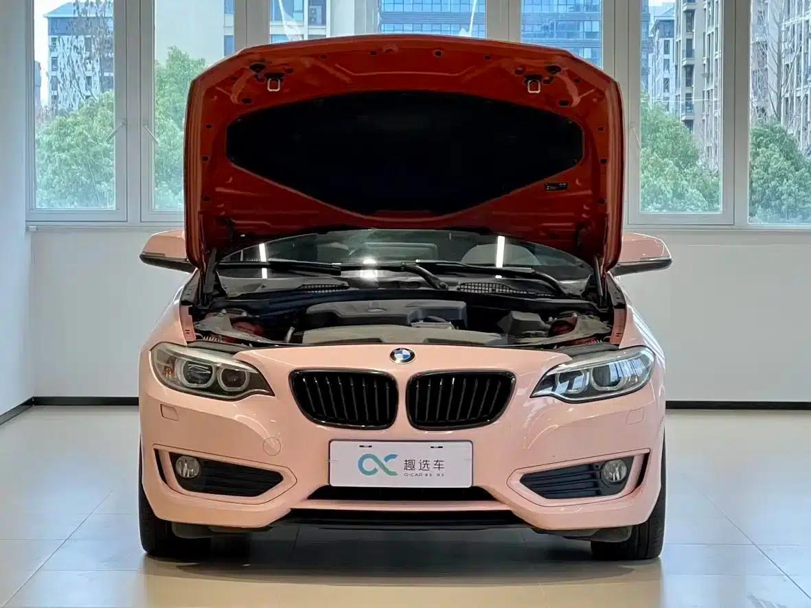 BMW 2 Series (Imported) 2015 220i Convertible Coupe Leading Model — миниатюра 15