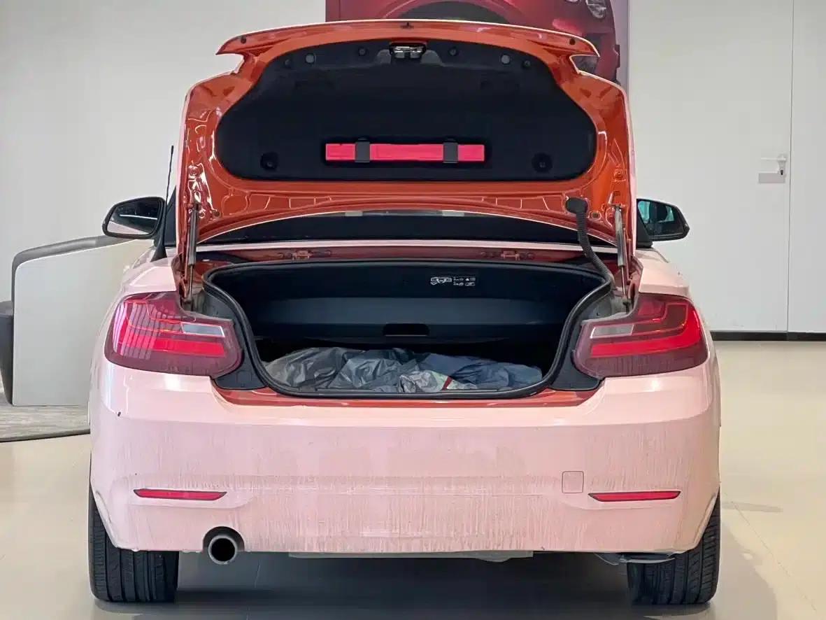 BMW 2 Series (Imported) 2015 220i Convertible Coupe Leading Model — миниатюра 16