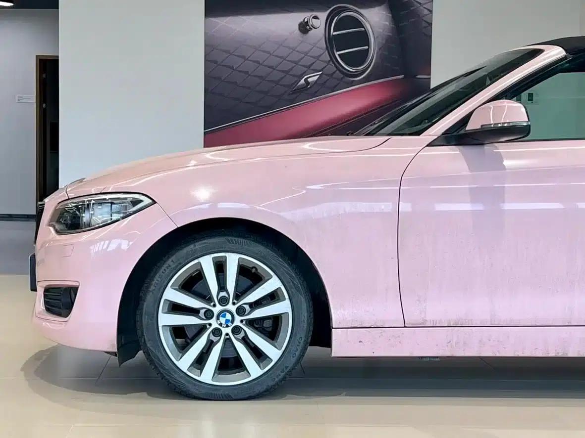 BMW 2 Series (Imported) 2015 220i Convertible Coupe Leading Model — миниатюра 4