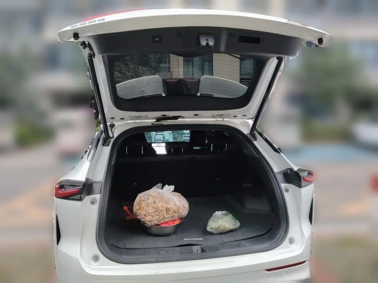 Used CHANGAN OSHAN Z6 New Energy 2023 ZhiDian iDD 150KM Flagship PLUS — миниатюра 19
