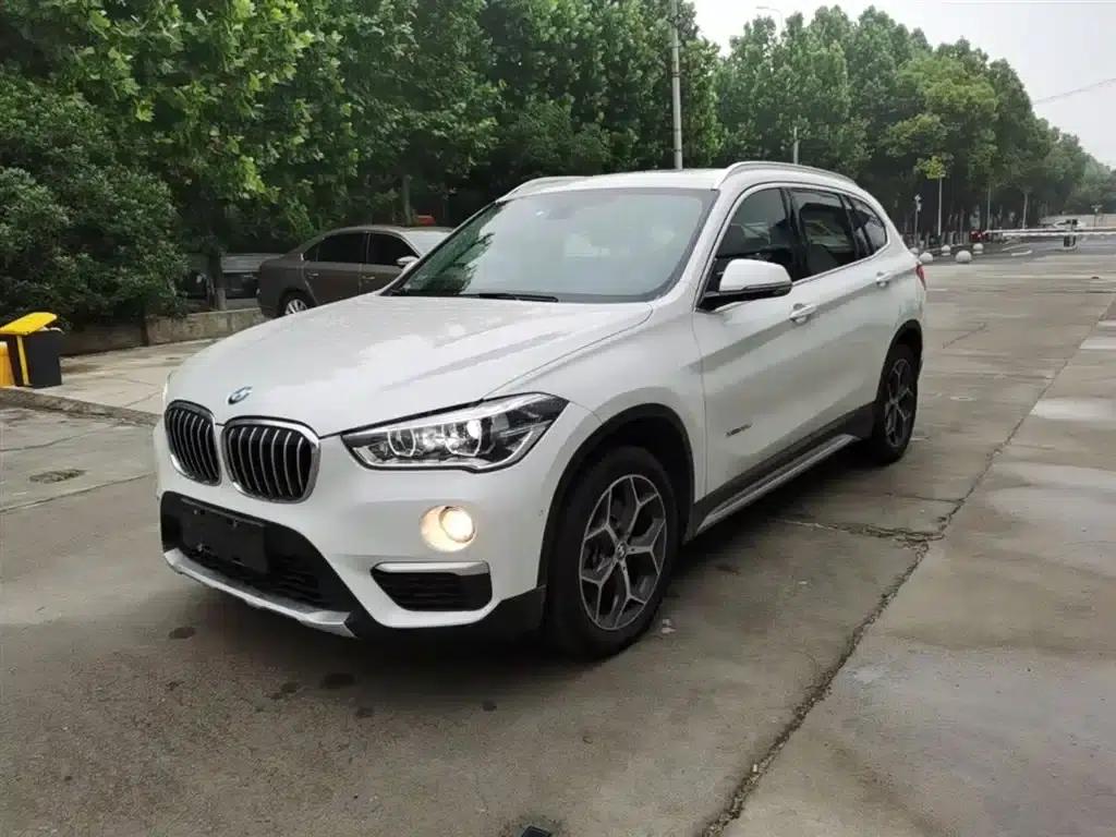 BMW X1 2018 xDrive20Li Luxury — миниатюра 2