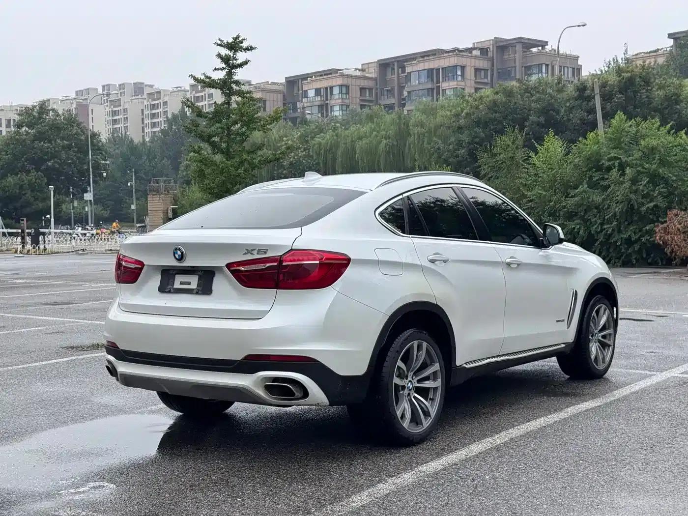 BMW X6 2015 xDrive35i Luxury — миниатюра 4