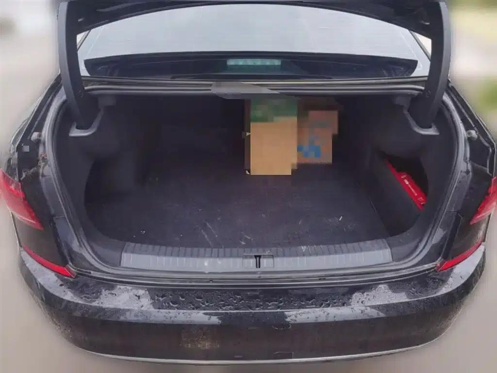 2025 Volkswagen Passat Outstanding Edition 330TSI Starry Sky Elite Edition — миниатюра 10