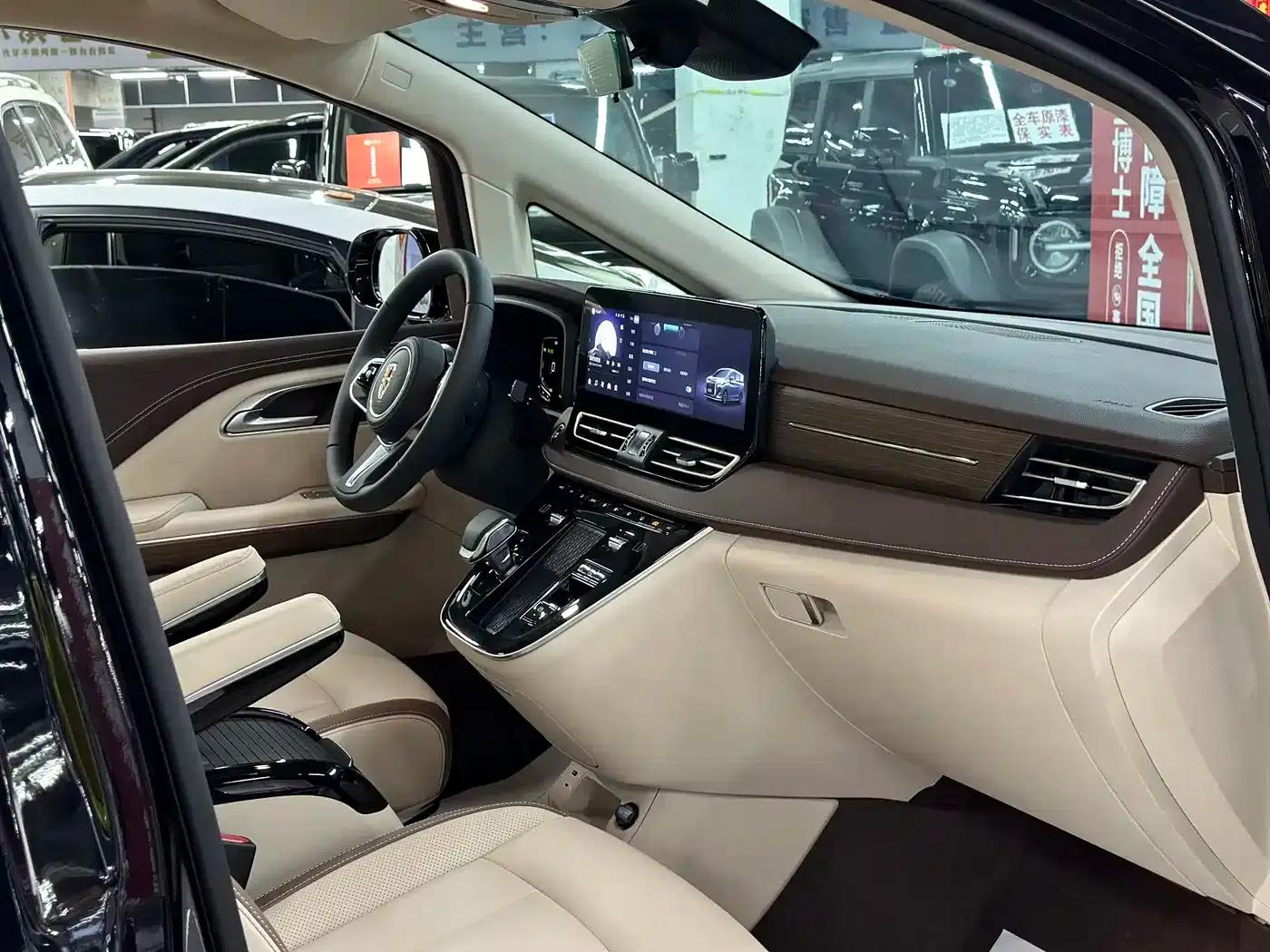 Hongqi HQ9 PHEV 2024 2.0T AWD Business Edition — миниатюра 11